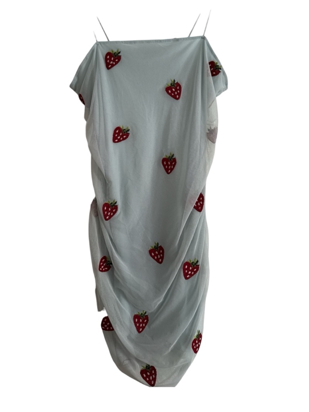 Fade rose Sheer Strawberry-Embroidered Slip Dress in light blue NWOT
